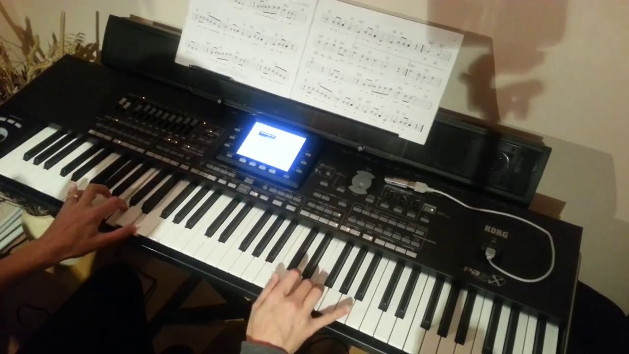 Korg PA3X - When a Man Loves a Woman