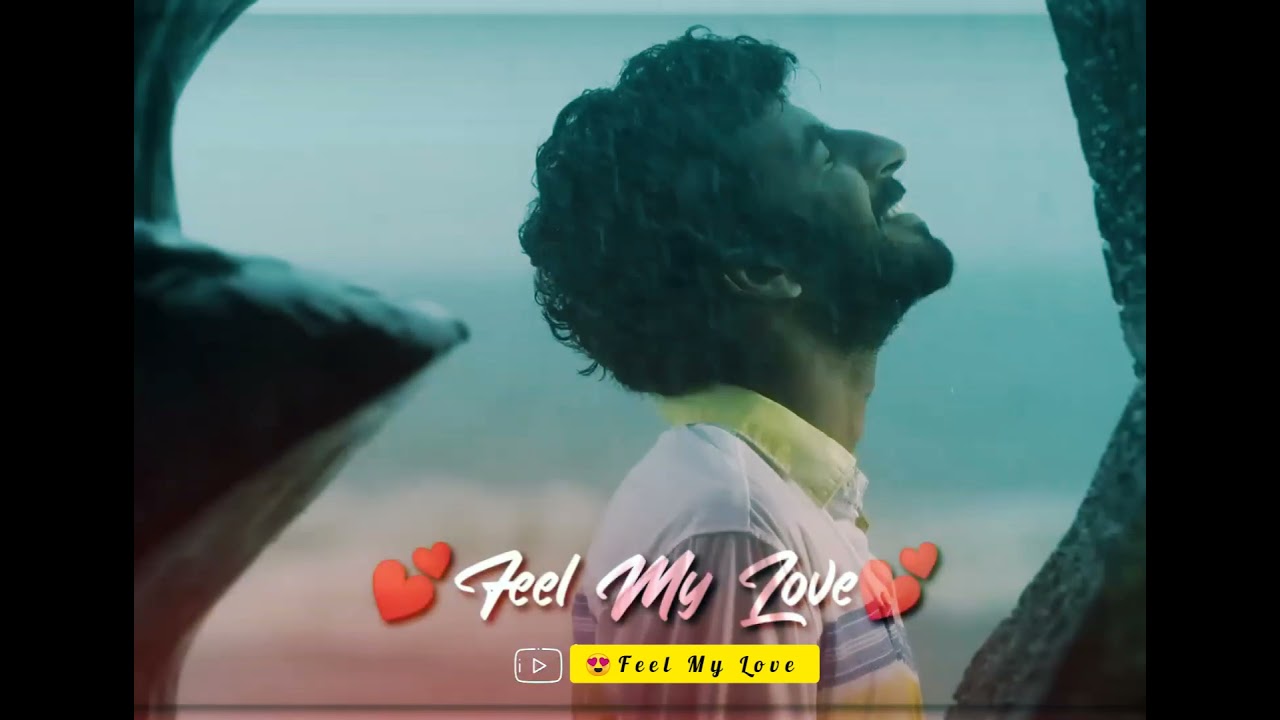 😍Feel My Love &hearts;Love at first sight ❤Cute Couples ❤ Love Status ❤Carrying of Love 💕