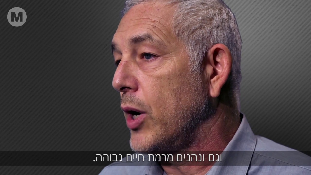 מודל הכנסה בסיסית / איתן אבריאל