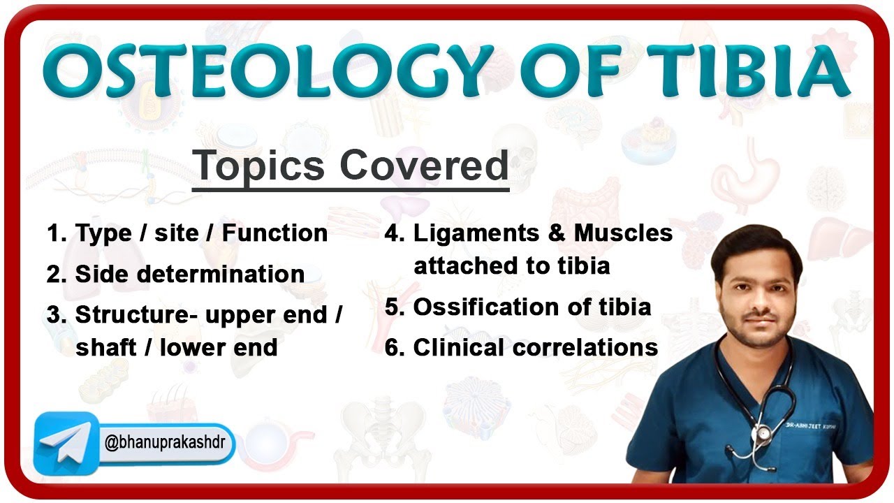 Osteology of TIBIA Bone : Osteology MBBS 1st year 🦴🦴🦴
