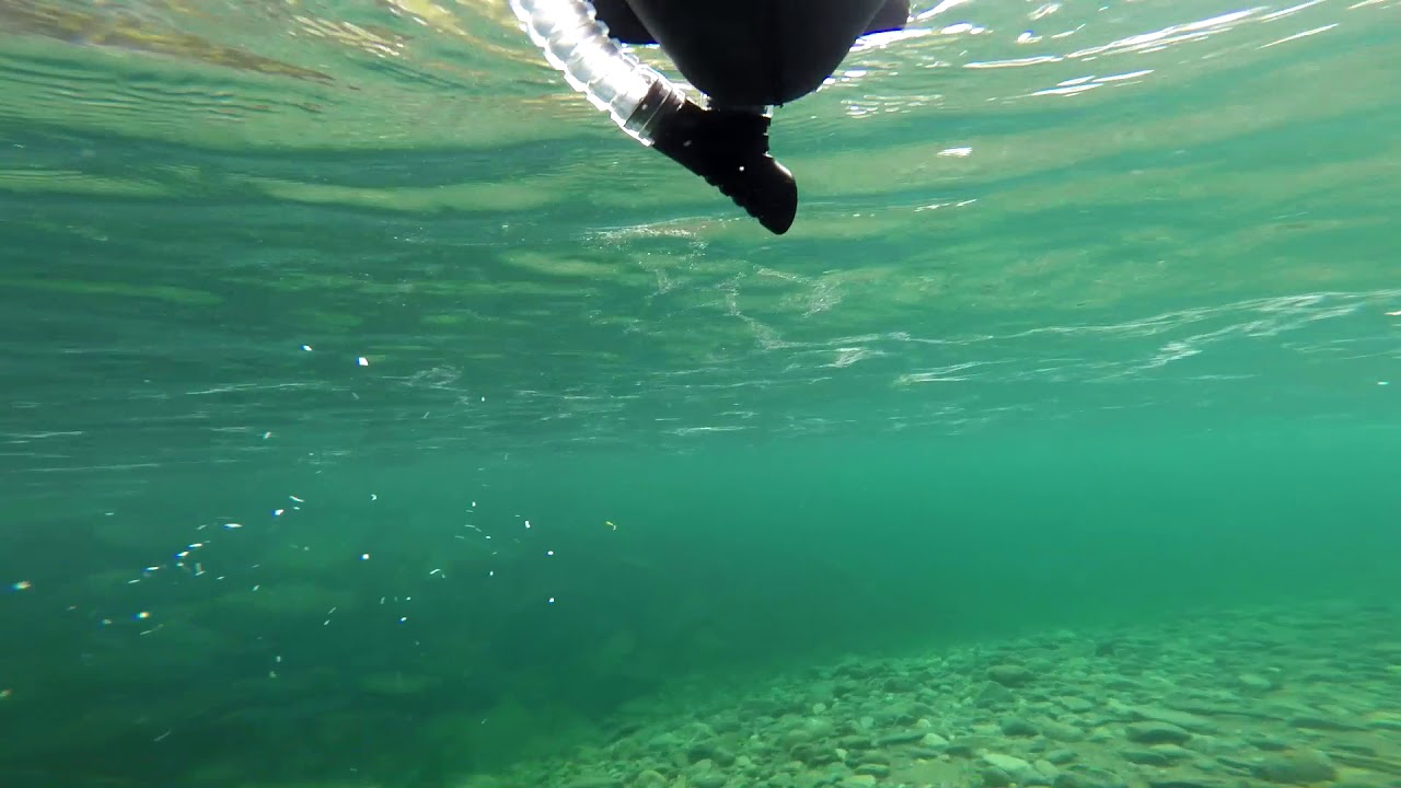 Snorkling i Beiarn sept  2017