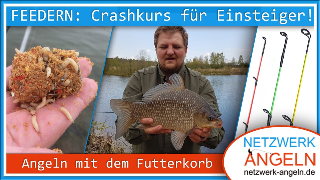 Feedern - Crashkurs f&uuml;r Anf&auml;nger!