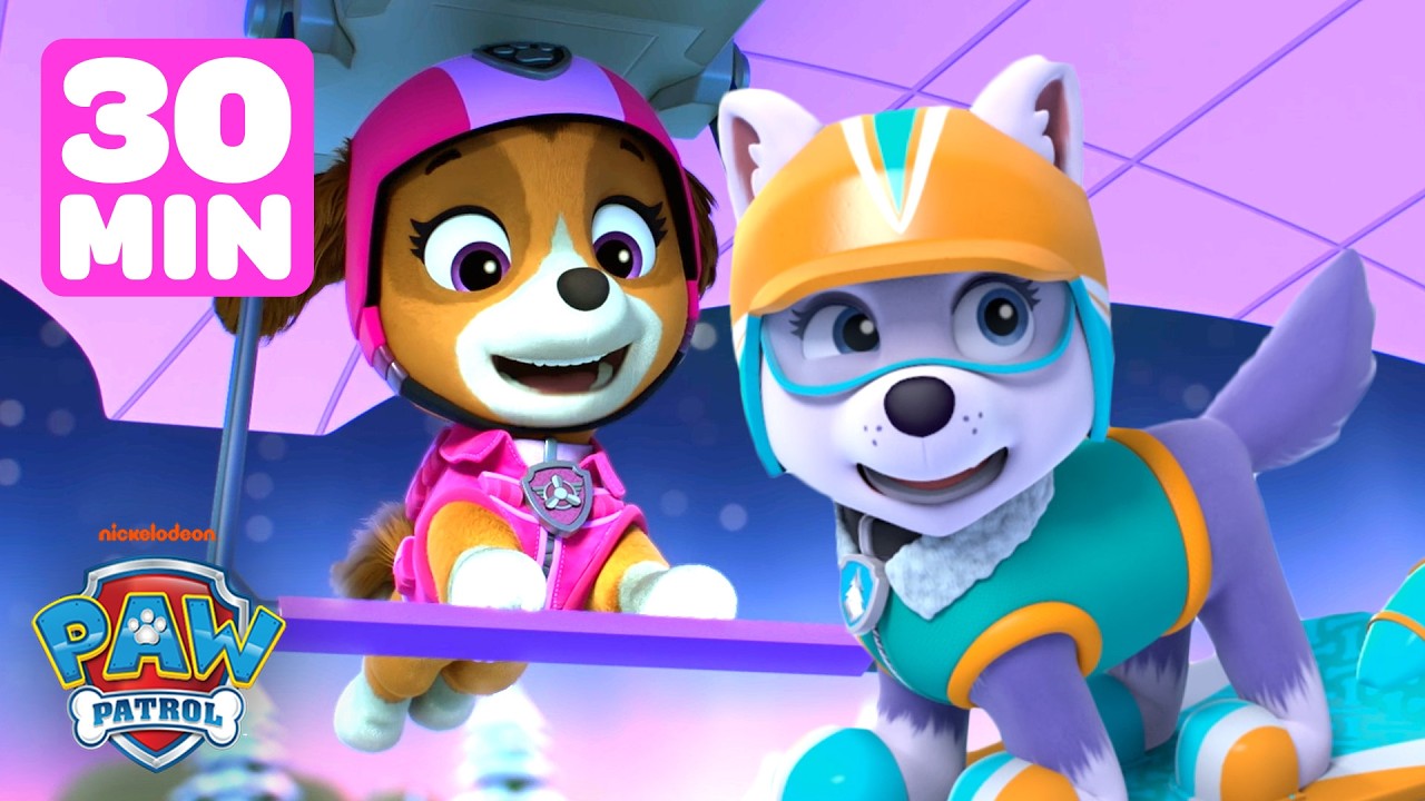 Everest & Skye's Best WINTER Rescues & Missions! ❄️ | PAW Patrol | 30 Minutes | Skye and Friends