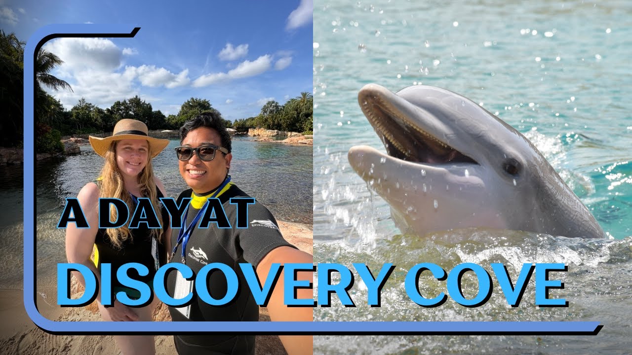 We Spent the Day at an All Inclusive Day Resort in Orlando and We Fell in LOVE | Discovery Cove!