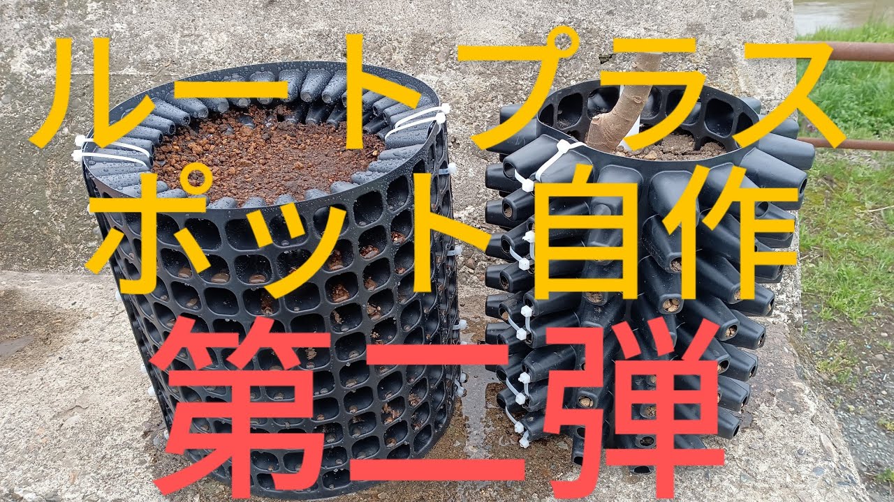 イチジク用のルートプラスポット第二弾を作成！