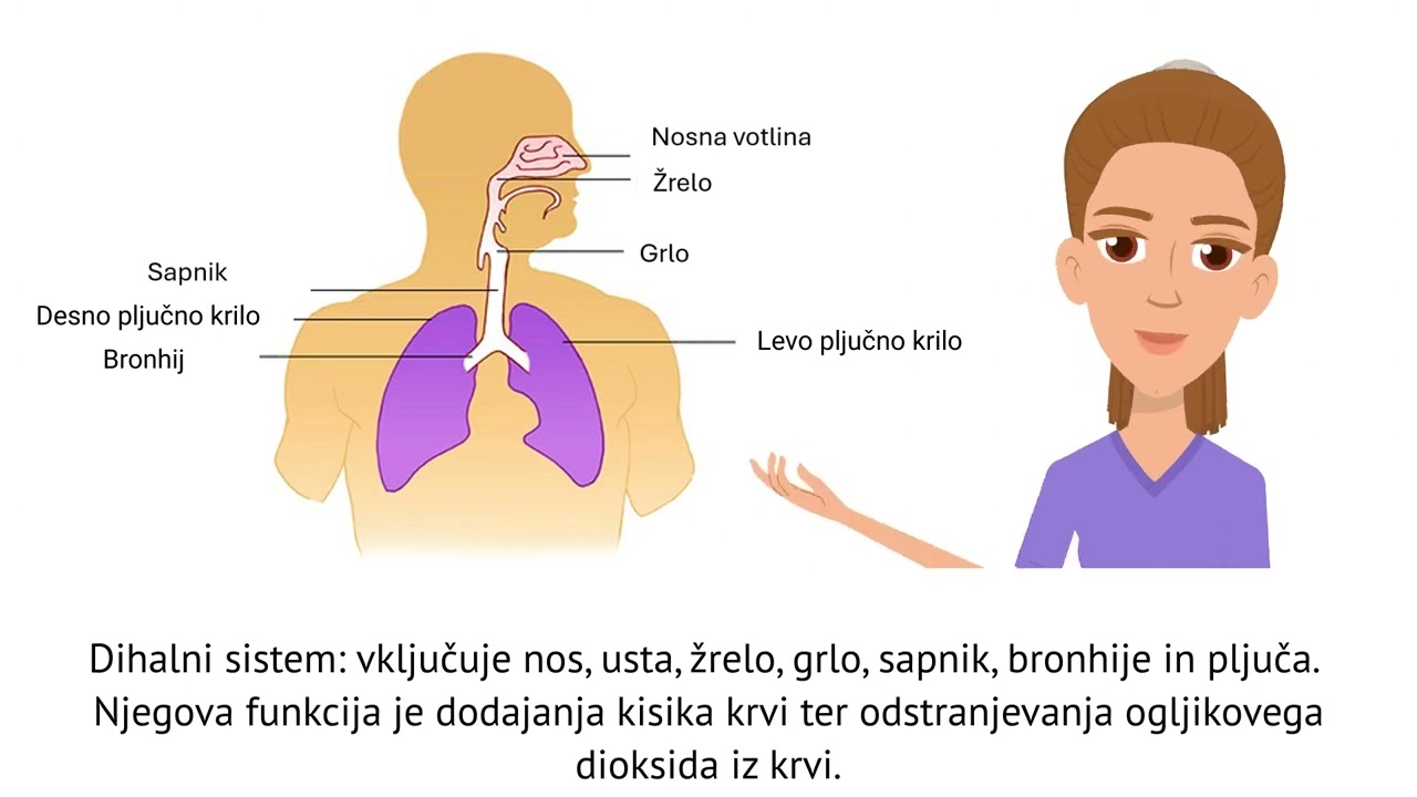 Preprosto učenje za IDD | ORGANSKI SISTEMI | MODUL 1 | VIDEO 2