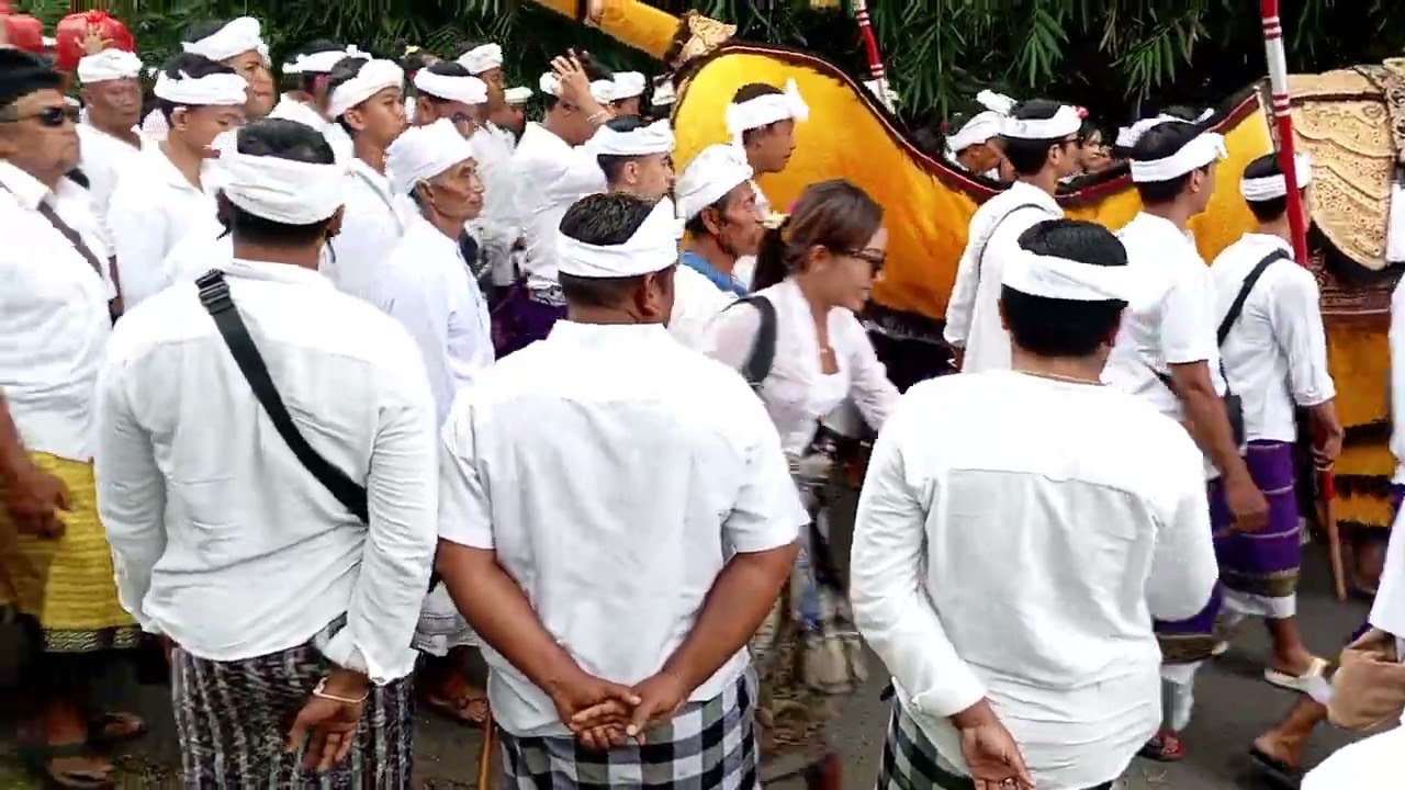 umanis galungan,,,,, tradisi amunduk taro,,,,, puakan,,,,