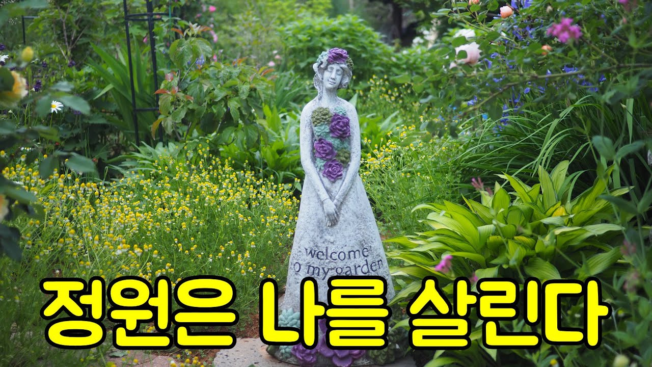 나를 치유하는 정원. 정원을 가꾸며 삶의 이유를 찾는다.