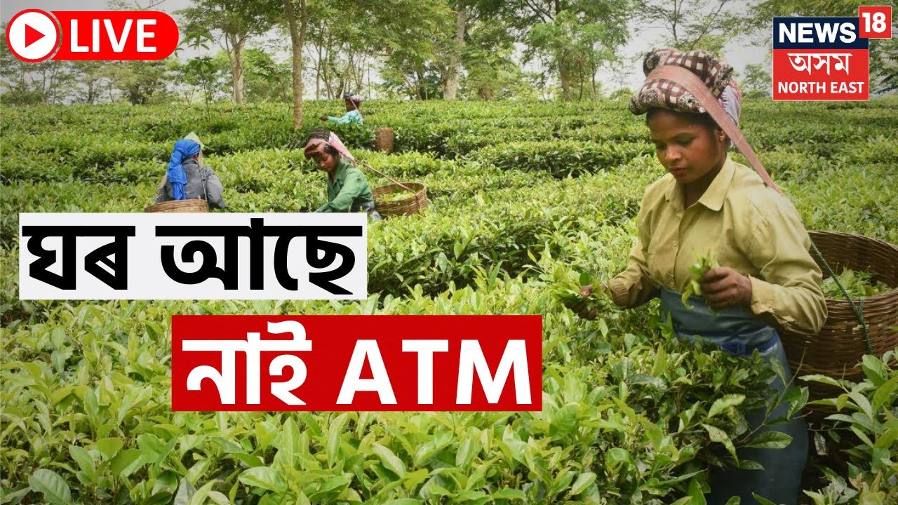 Lack Of ATM In Assam Tea Gardens Creates Havoc LIVE | ঘৰ সাজিলে ঠিকেই বাগিচা অঞ্চলত, আহি নাপালে ATM
