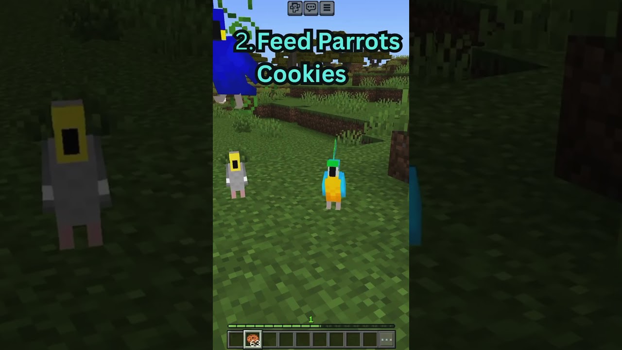 5 Tips for Beginner Minecraft Players!#minecraft @minecraft @Axtered @camman18  