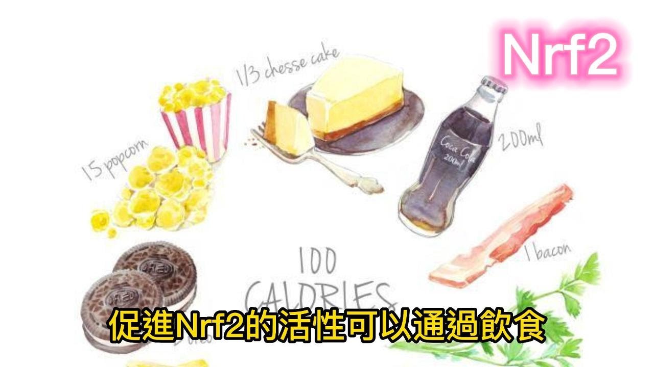 「激活身體自我修復系統，抗癌利器Nrf2！探索Nrf2對癌症的抗擊力和保健效果，讓你的身體更加強壯和健康」