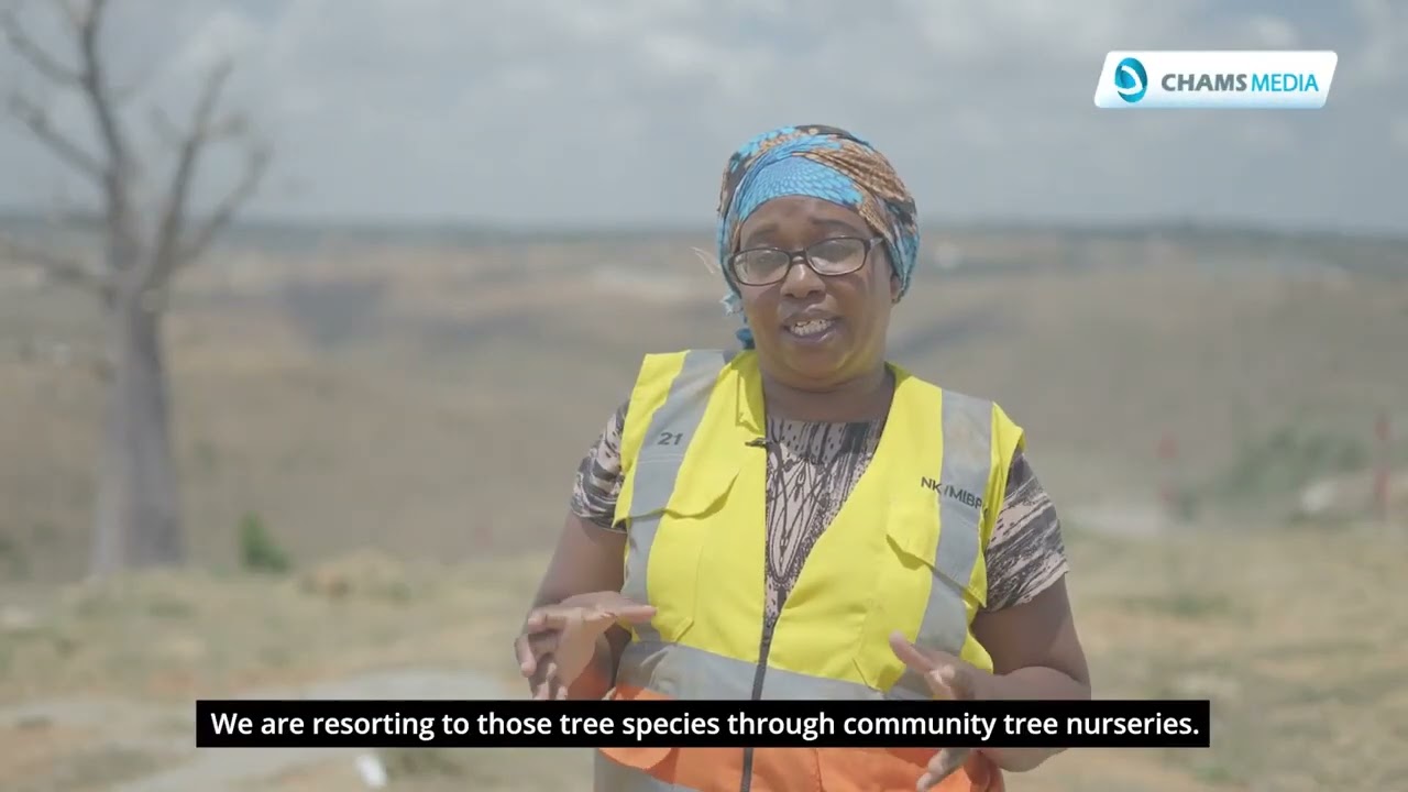 Restoring Mwache Dam Catchment Through Tree Planting
