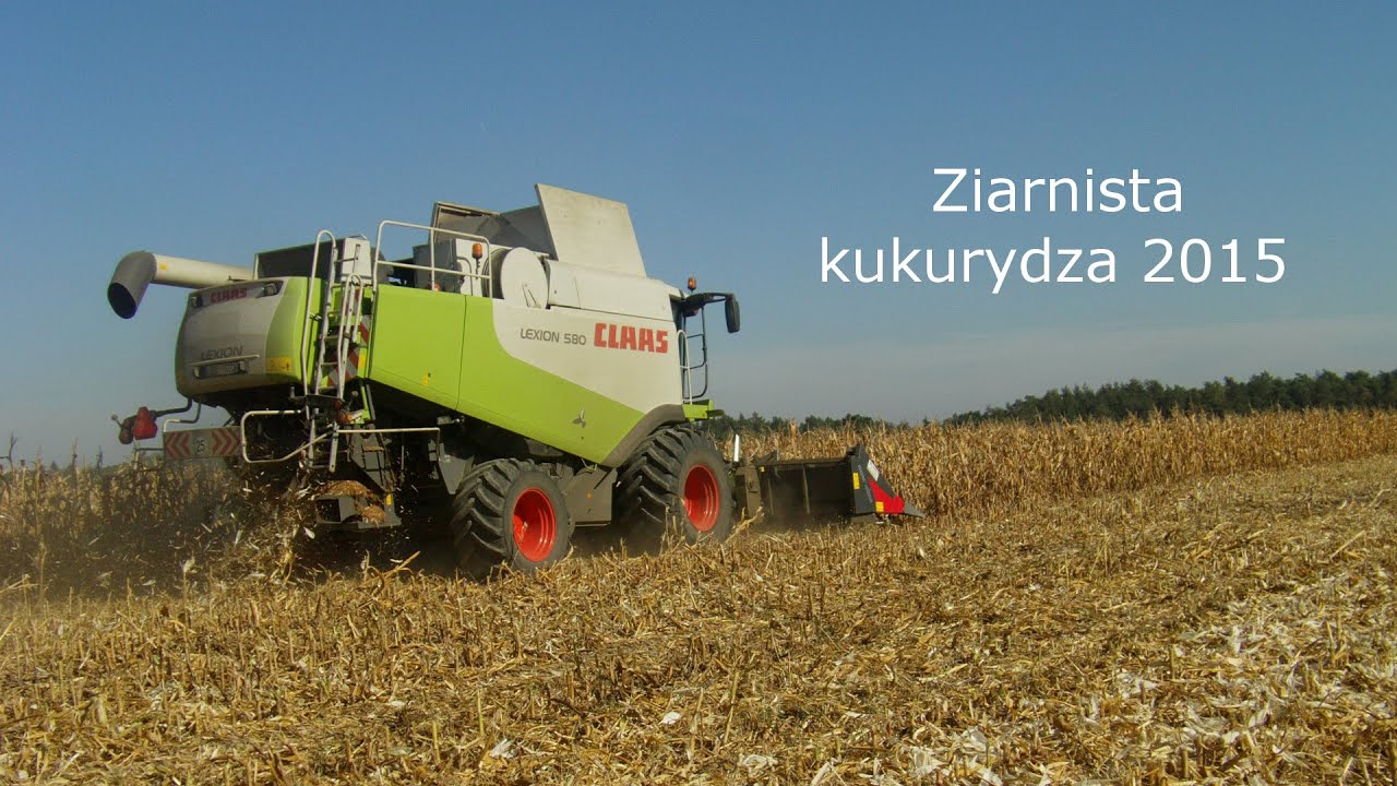 Ziarnista kukurydza 2015 | Claas Lexion 580
