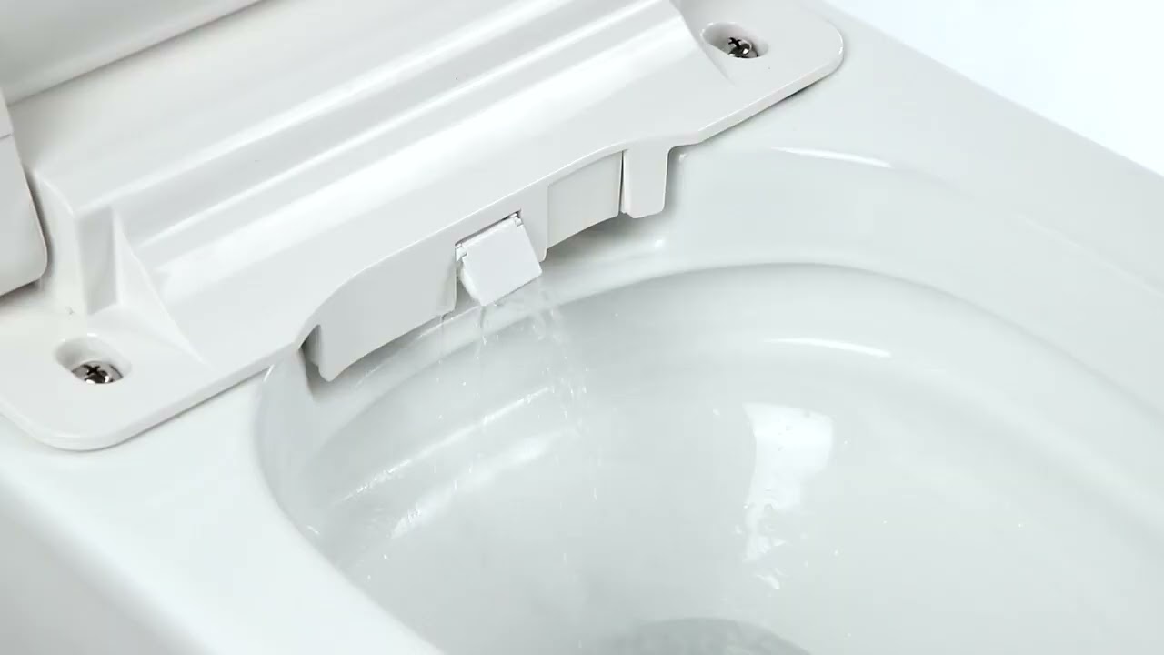 Wall Mounted Toilet with Bidet: The Future of Bathrooms | TC303