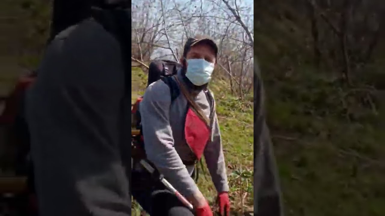 fındık dip sürgünü (Filiz isgin şivka) almada büyük kolaylık.Sizce nasıl ? emrahuzaygürdal