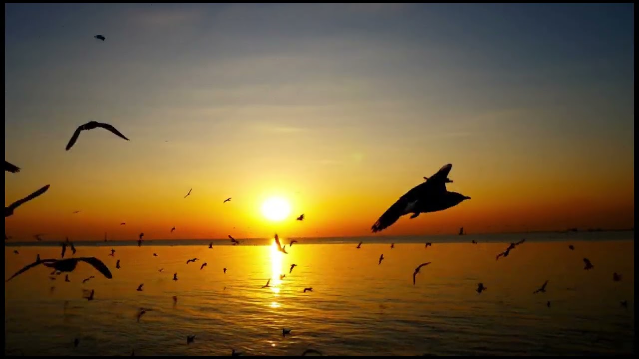 Deep Relaxation Ambience for Overthinking Minds