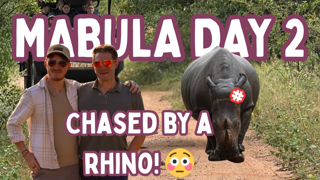 Day 2: CHASED BY RHINO at Mabula Game Lodge 😳