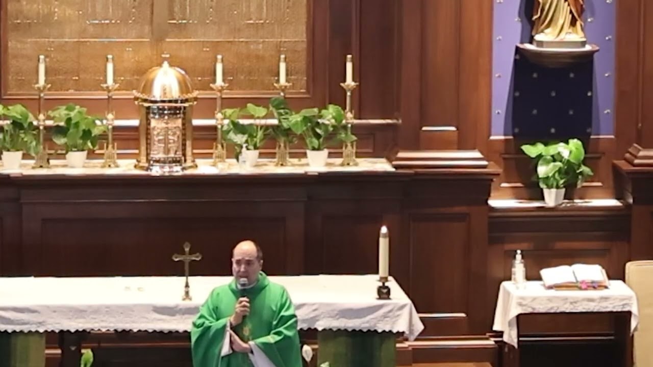 Gospel Homily 2 8 26