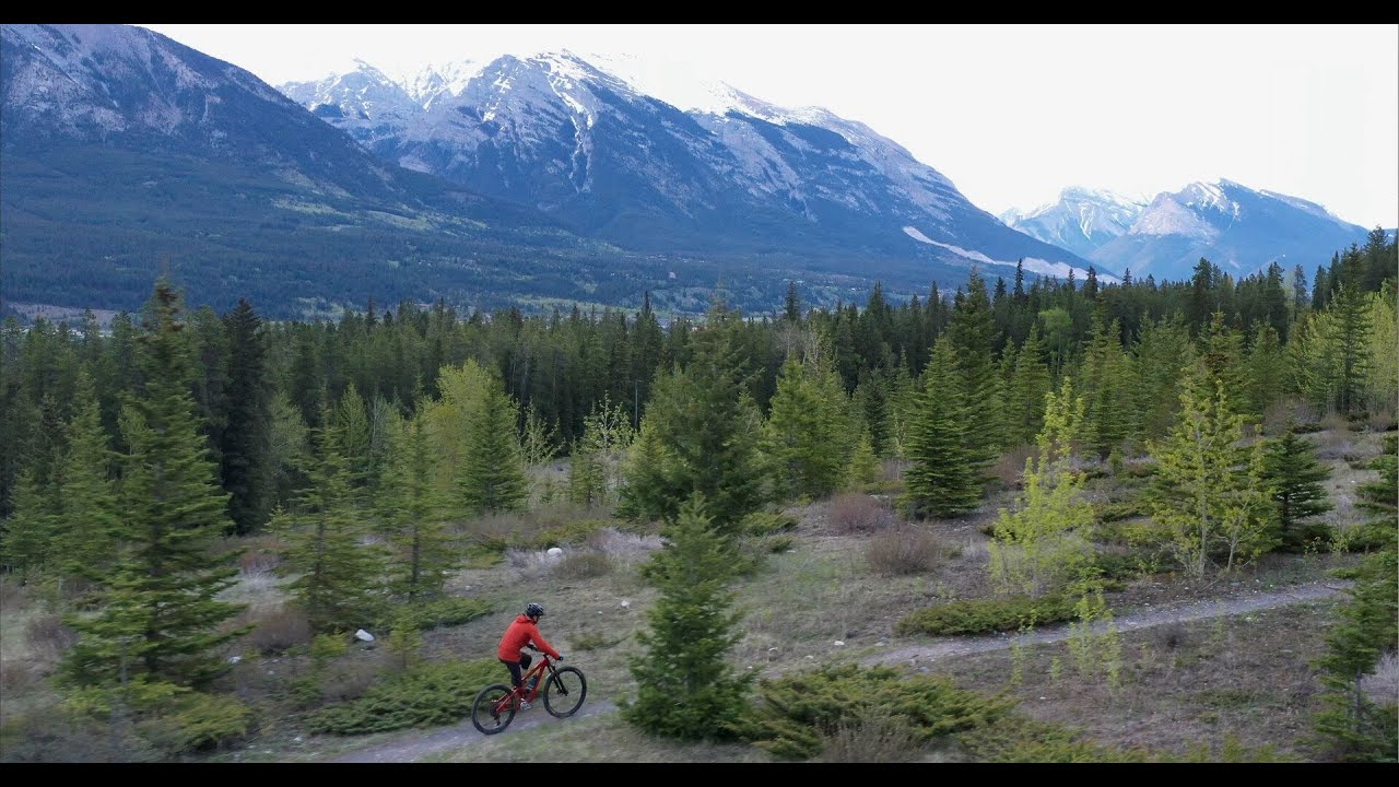 Trailer Trailblazing: The Matt Hadley Story