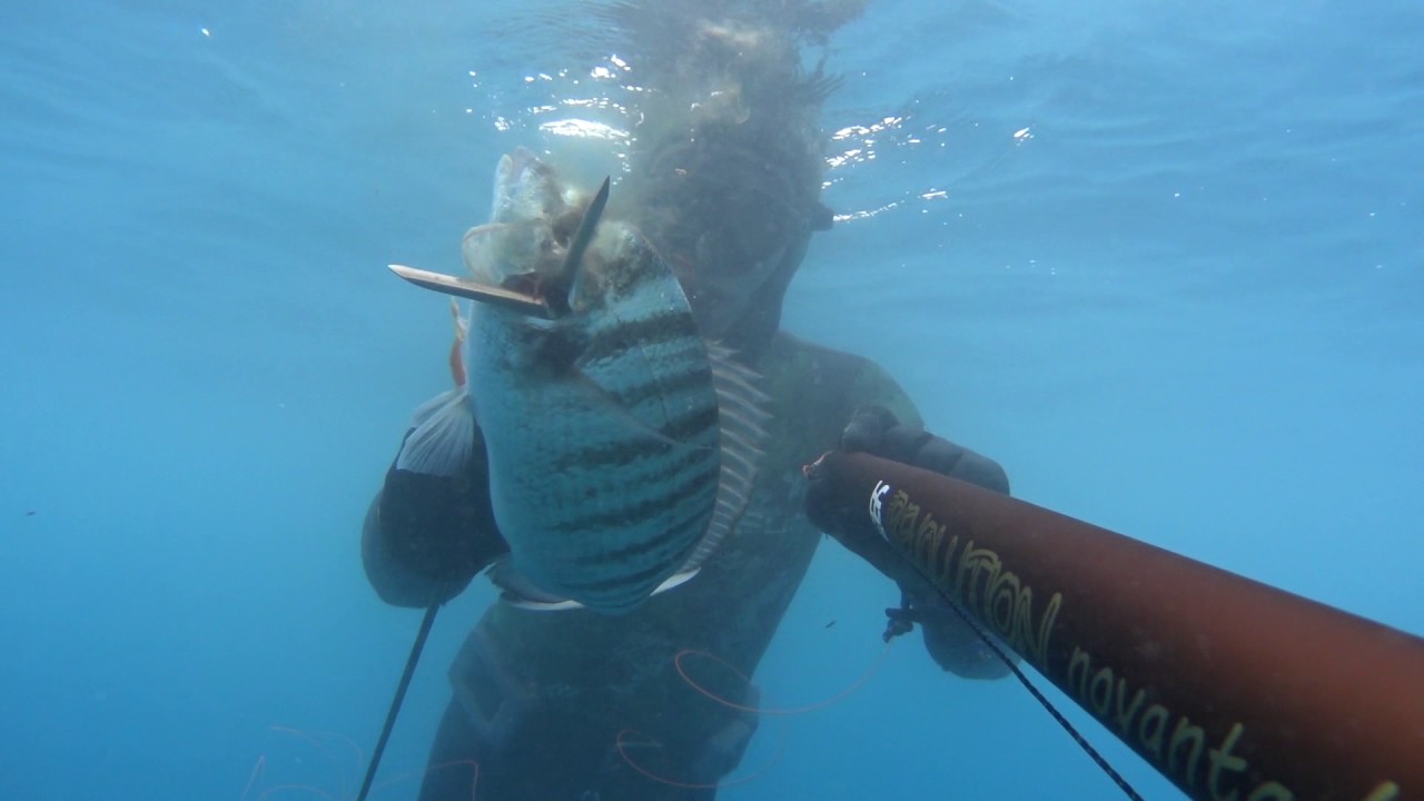 Pescasub: Test LG manilu revolution 92