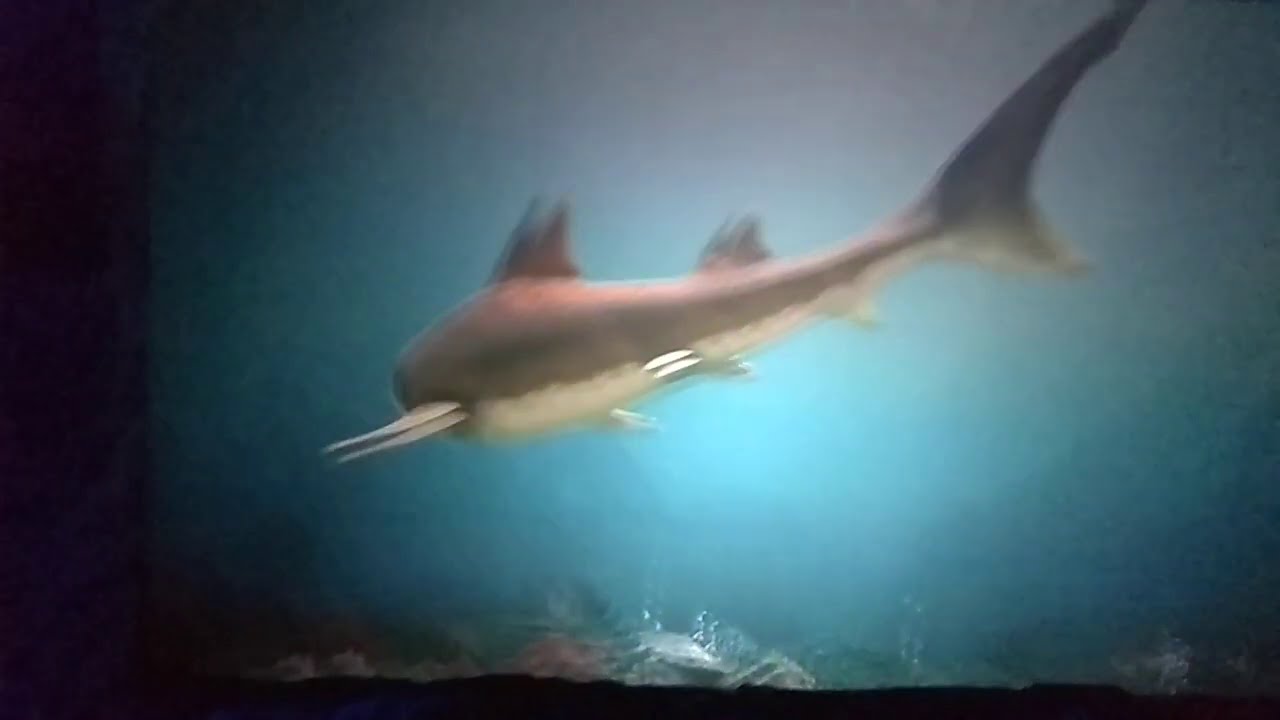 Jura Park Bałtów 🚰 Prehistoryczne Oceanarium