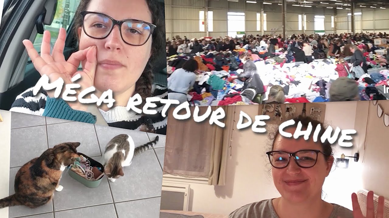 Fin octobre: Braderie Emmaüs, 2 chats, F.A.Q