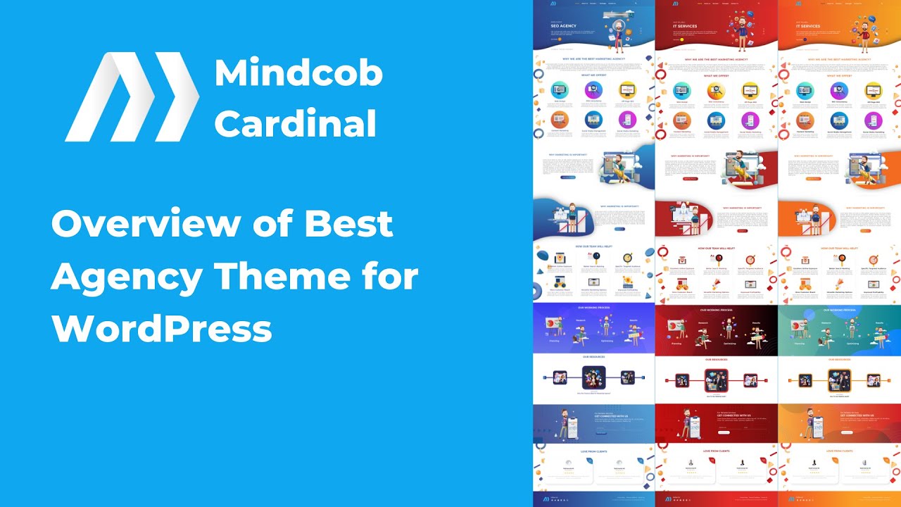 Mindcob Cardinal Theme for WordPress - Complete Overview of Design and Elements