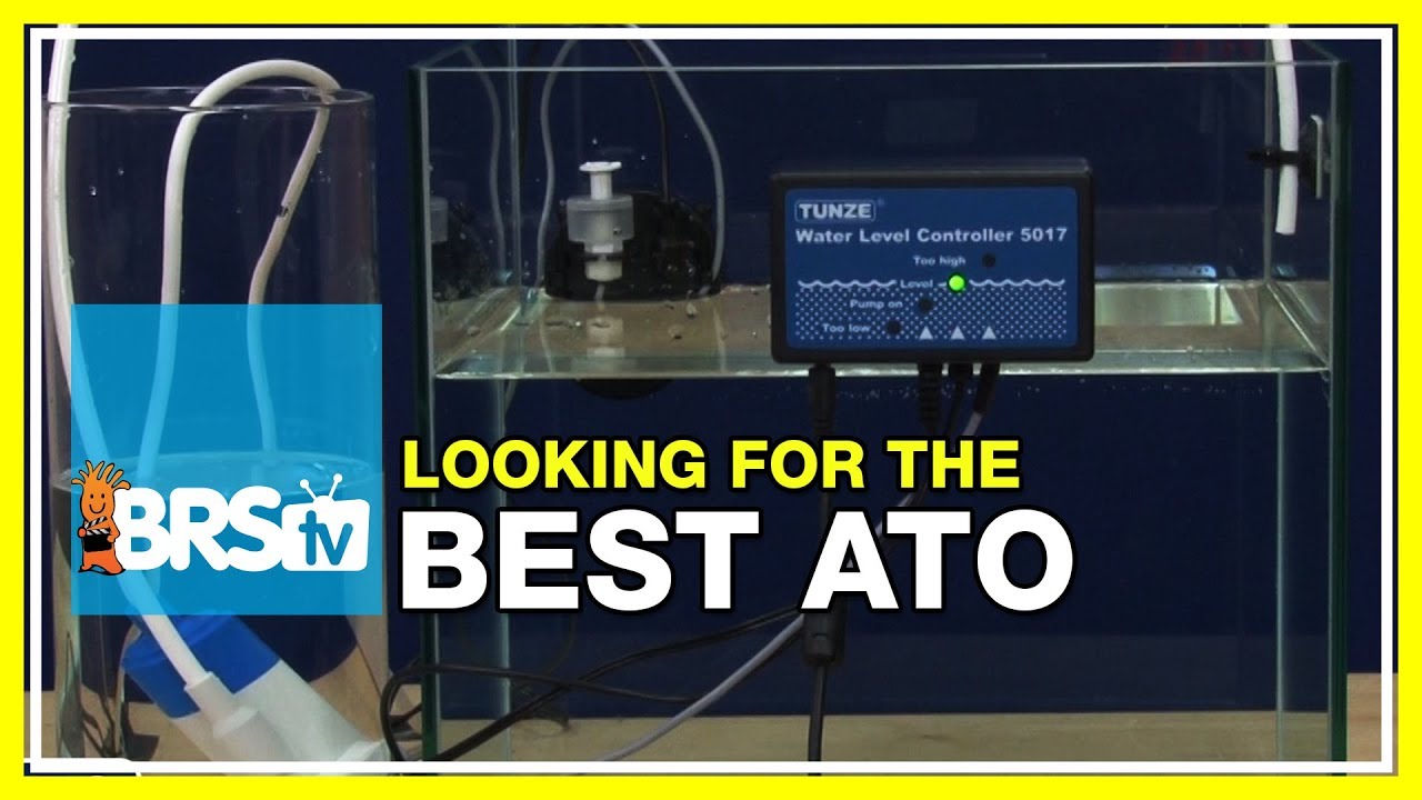 Week 16: ATO: Reducing Daily Maintenance, Safely! | 52 Weeks of Reefing