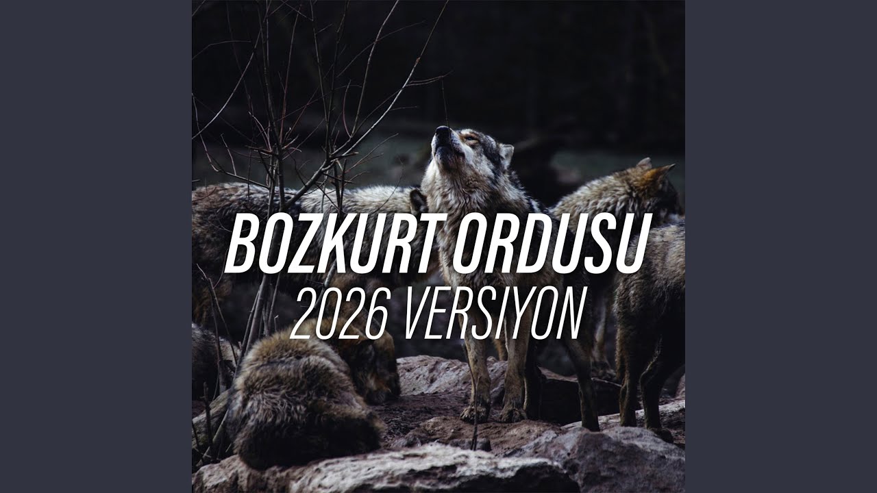 Bozkurt Ordusu (2026 Versiyon)