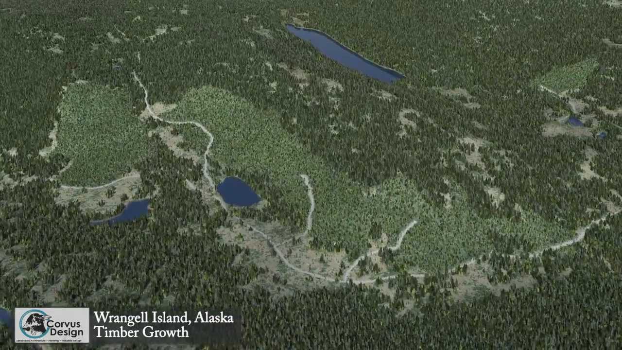 Wrangell Island Timber Growth