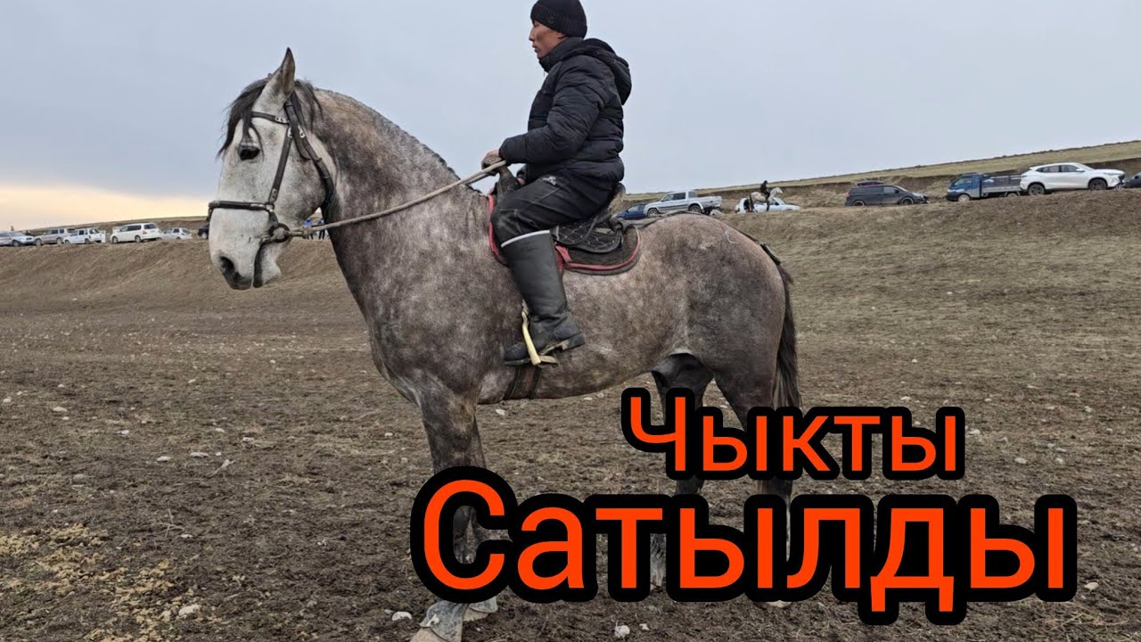 Чыкты Сатылды