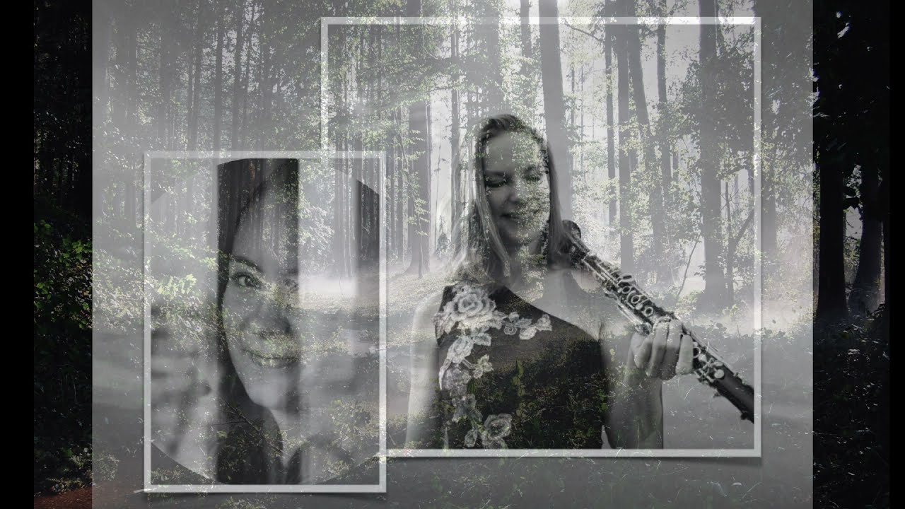 Barbara Hidber - Schwaden