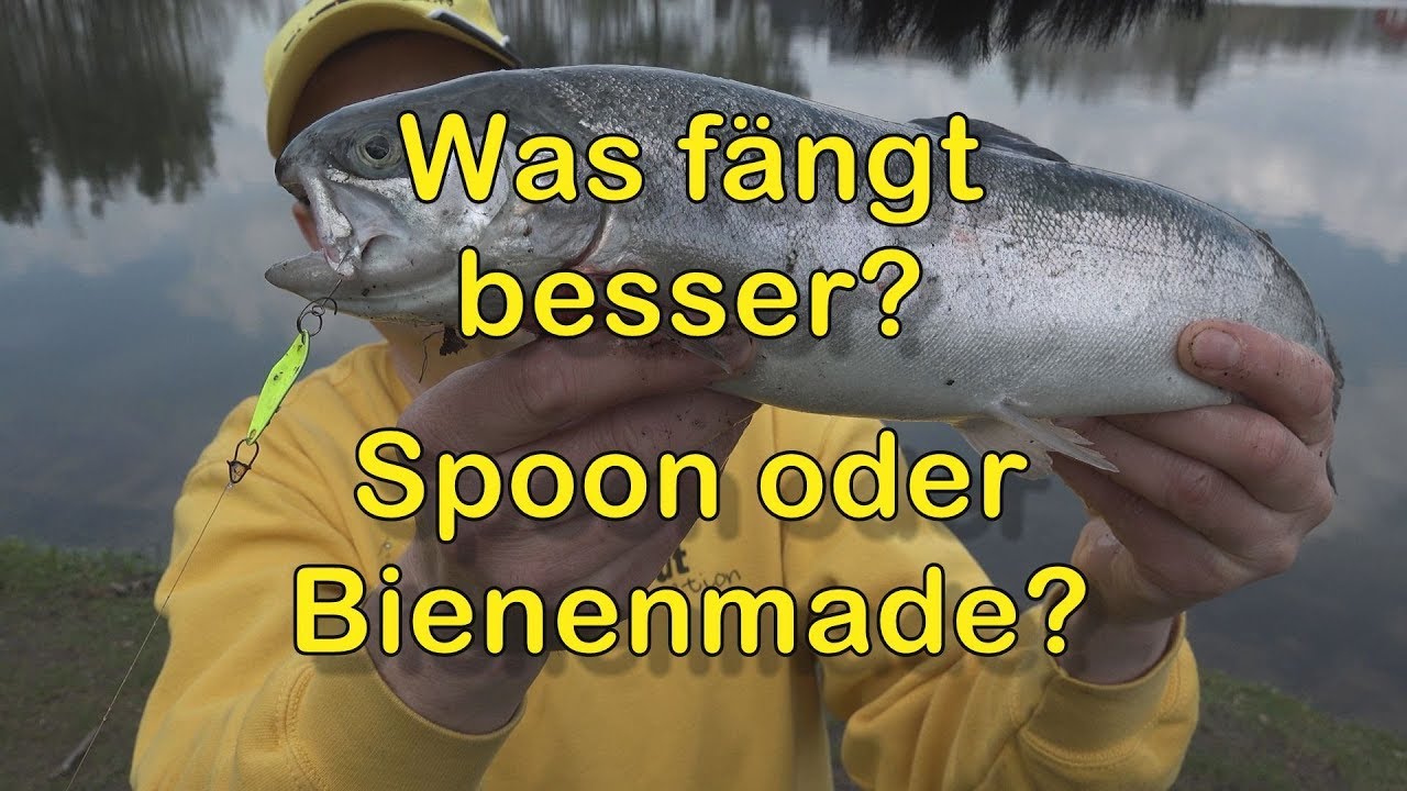 Frühling - Spoon oder Bienenmade?
