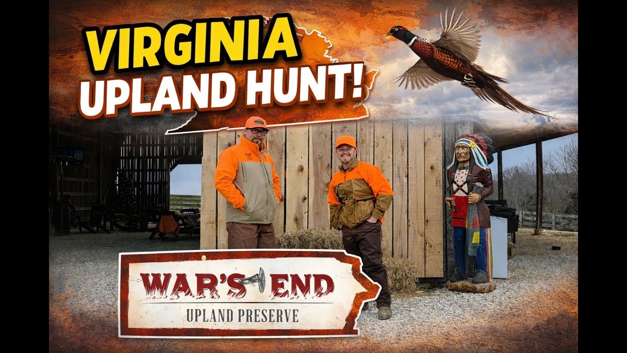 UPLAND bird hunting in Virginia! Wars End Upland Preserve