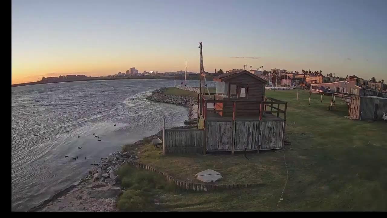 Milnerton Aquatic Club Live Stream - Live wind, https://mac-wind.appspot.com