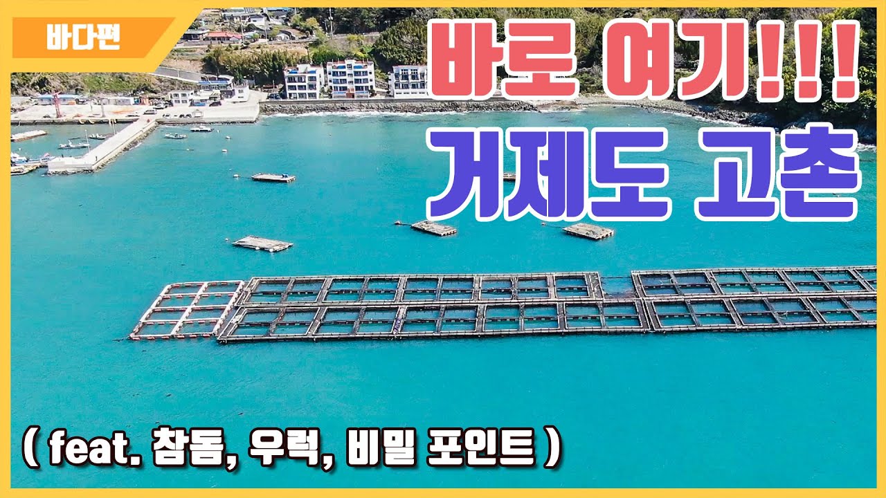 [다리tv] 특별한 조과!!! 거제 고촌방파제 ☆ 여행! 캠핑! 낚시! 포인트 ☆ (South Korean Port Drone Video!!!)