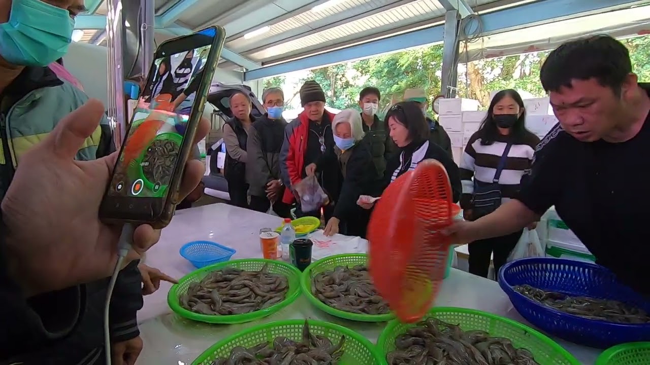 16 帥老爸亂搞蝦子瀑布 有夠瘋 #中彰海王子 #彰化八卦山棒球場 #海鮮叫賣 #海鮮拍賣