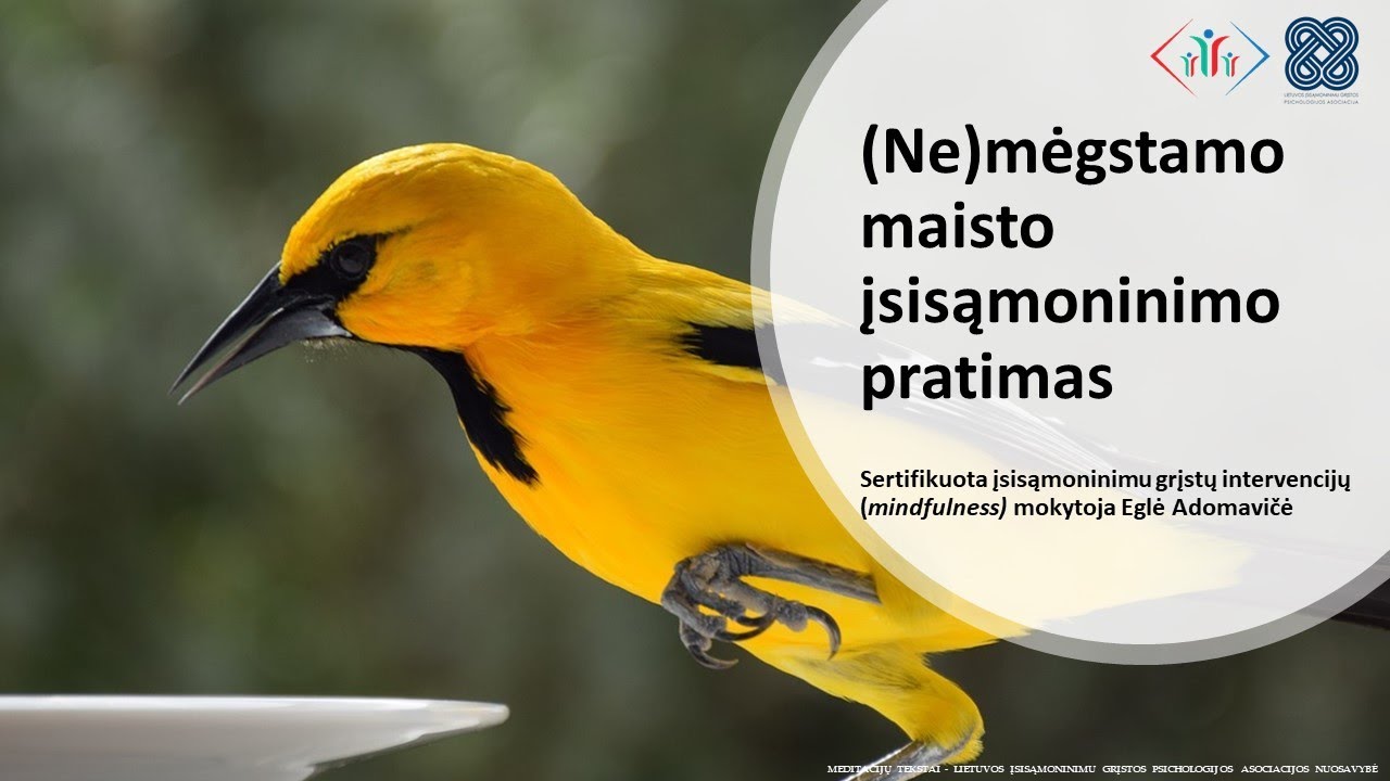 (Ne)mėgstamo maisto įsisąmoninimo pratimas. Eglė Adomavičė