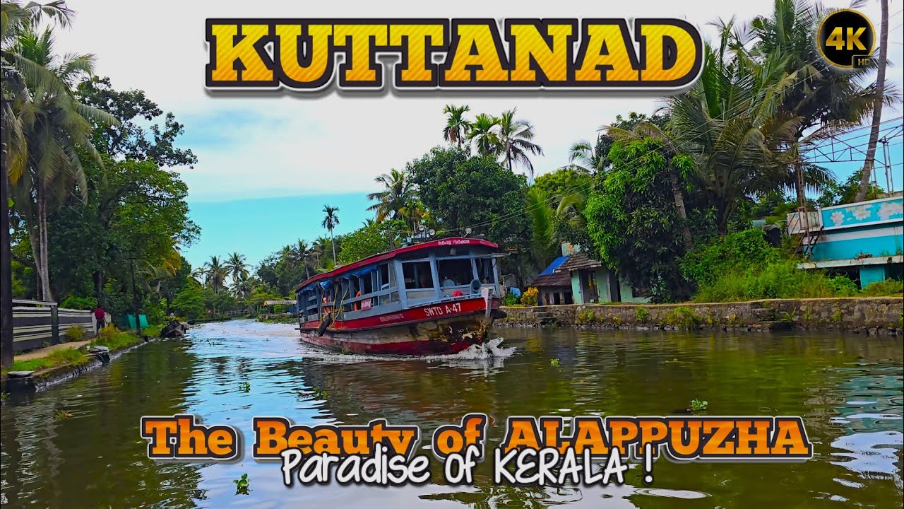 இந்தியாவின் மிதக்கும் கிராமங்கள்🌴இங்கே வாழ்வது அவ்வளவு Easy இல்லை🛶 Exploring Kuttanad #alappuzha