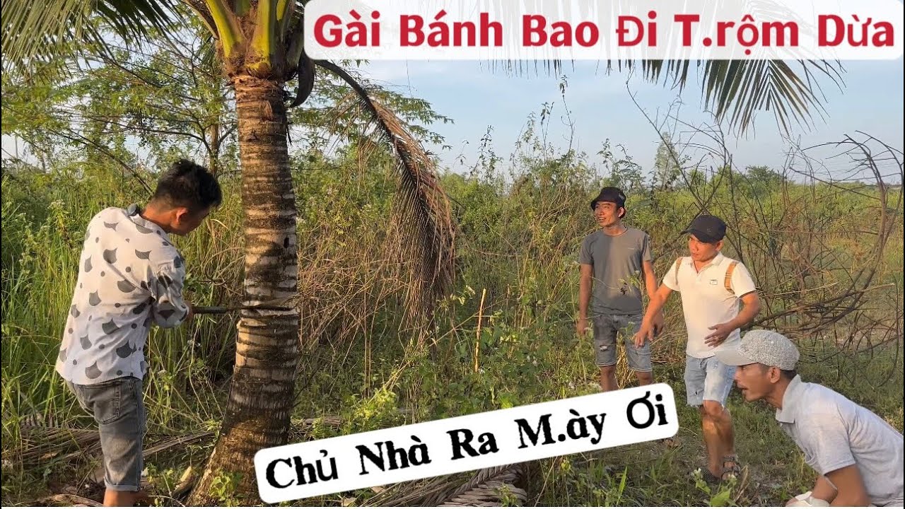 Ngày đầu Bánh Bao gia nhập team đã bị Thuận Gòm-7 Lé gài dẫn đi ăn T.r.ộ.m