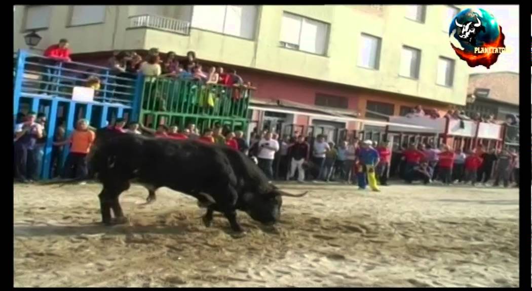 TOROS CHILCHES 2007