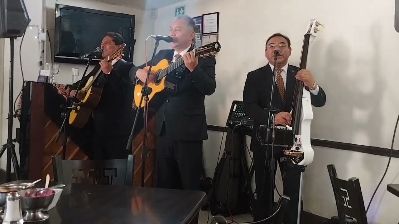 LLAMANDOTE ( Alexis Braun ) TRIO DEL ANGEL ❤️🎶🐱💯