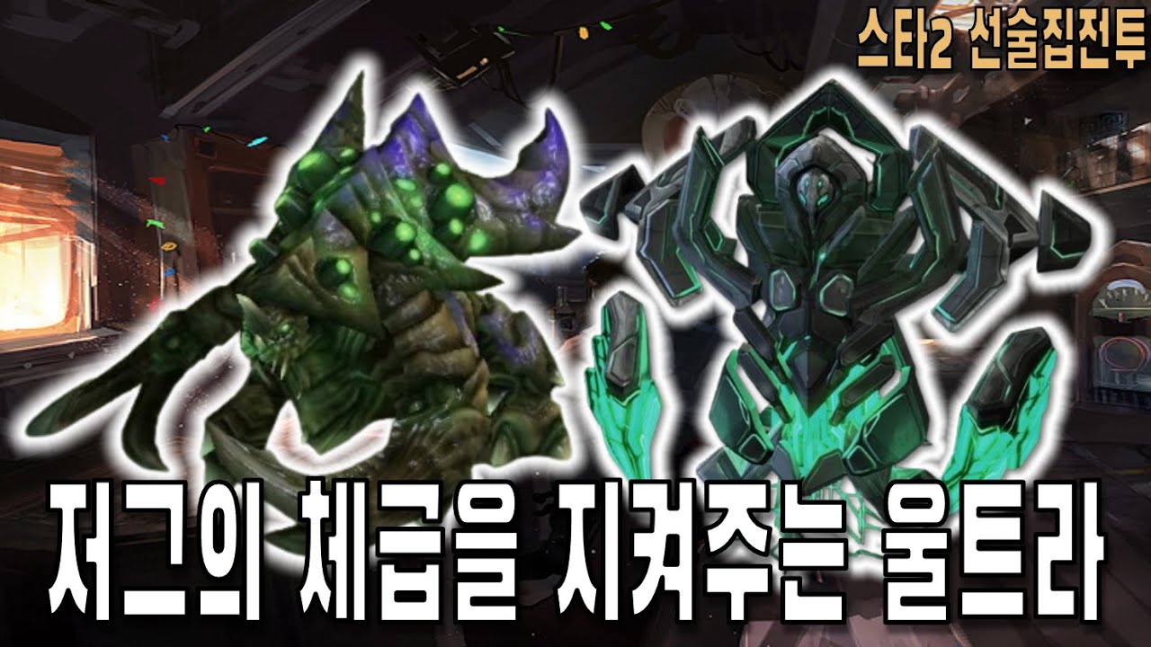 [스타 선술집 전투] (다중영웅모드) 저그는 체급이야