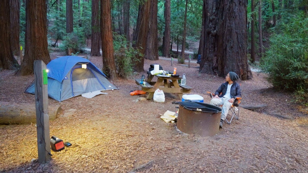[2] Solo Camping in Big Sur California Surrounded by Forest | ASMR | Nature Sounds