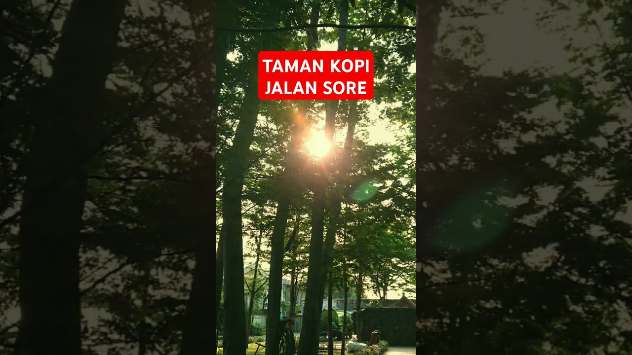 Taman kopi, jalan sore , #tamankopi, #olahraga , #wargapekayon, #wargajakarta