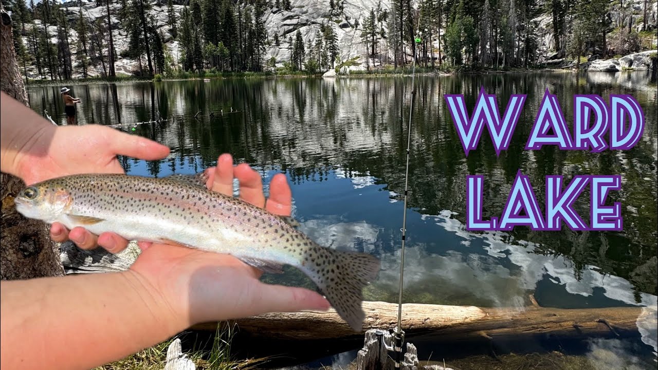 Trout Fishing Catch & Cook And A Weekend To Recharge With Friends!