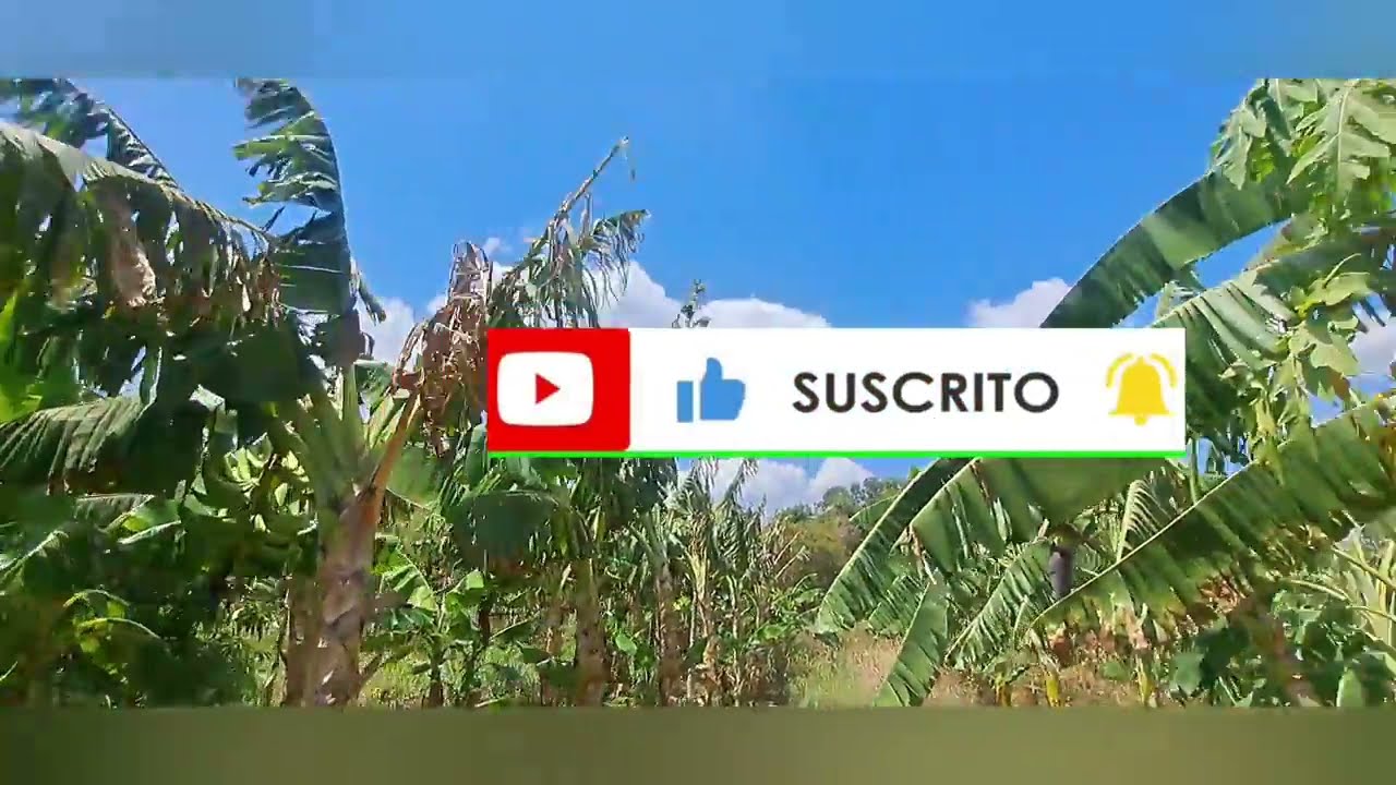 VENDIDS**  manzanas, con casita, en tecoluca, san vicente, a 30 minutos del aeropu