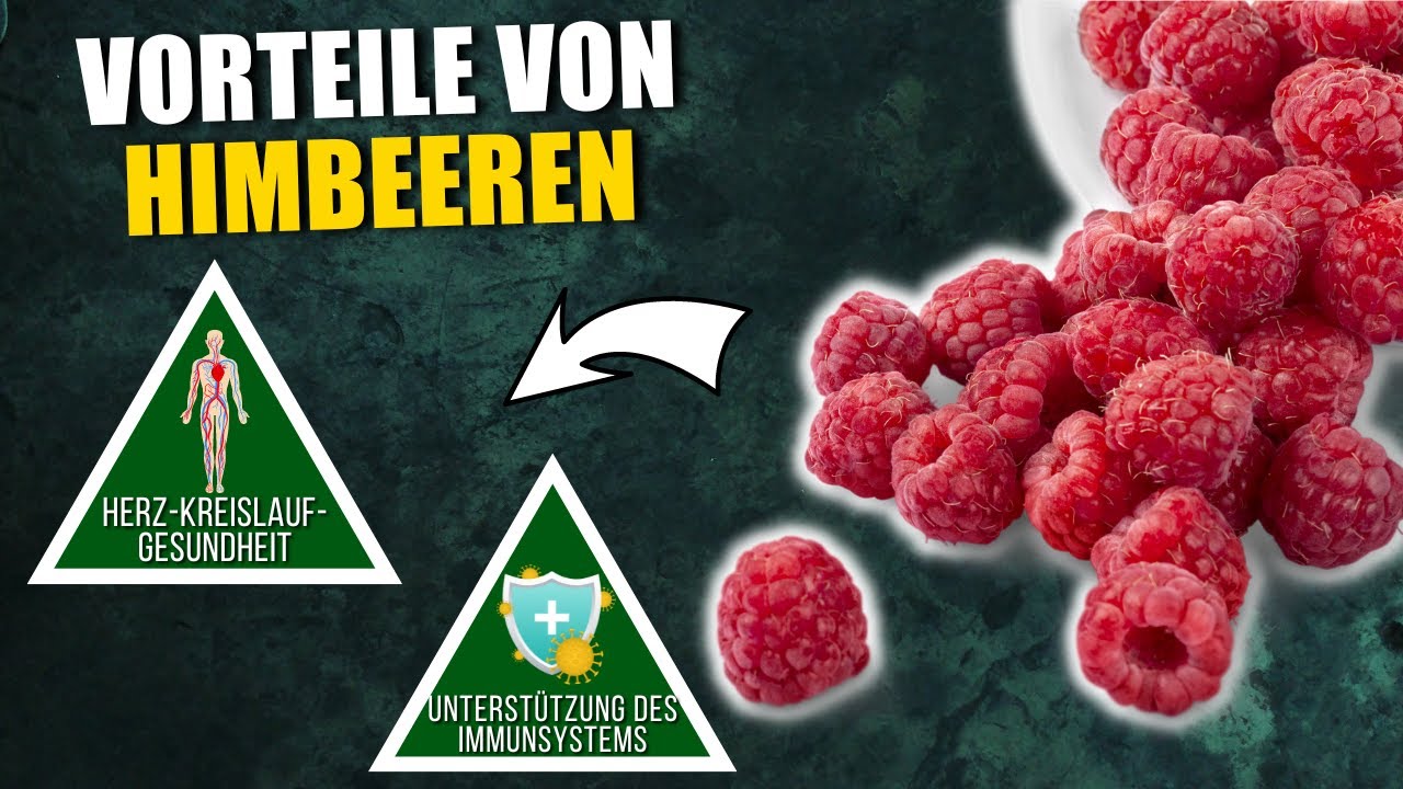 8 Gr&uuml;nde, warum Himbeeren so gesund sind