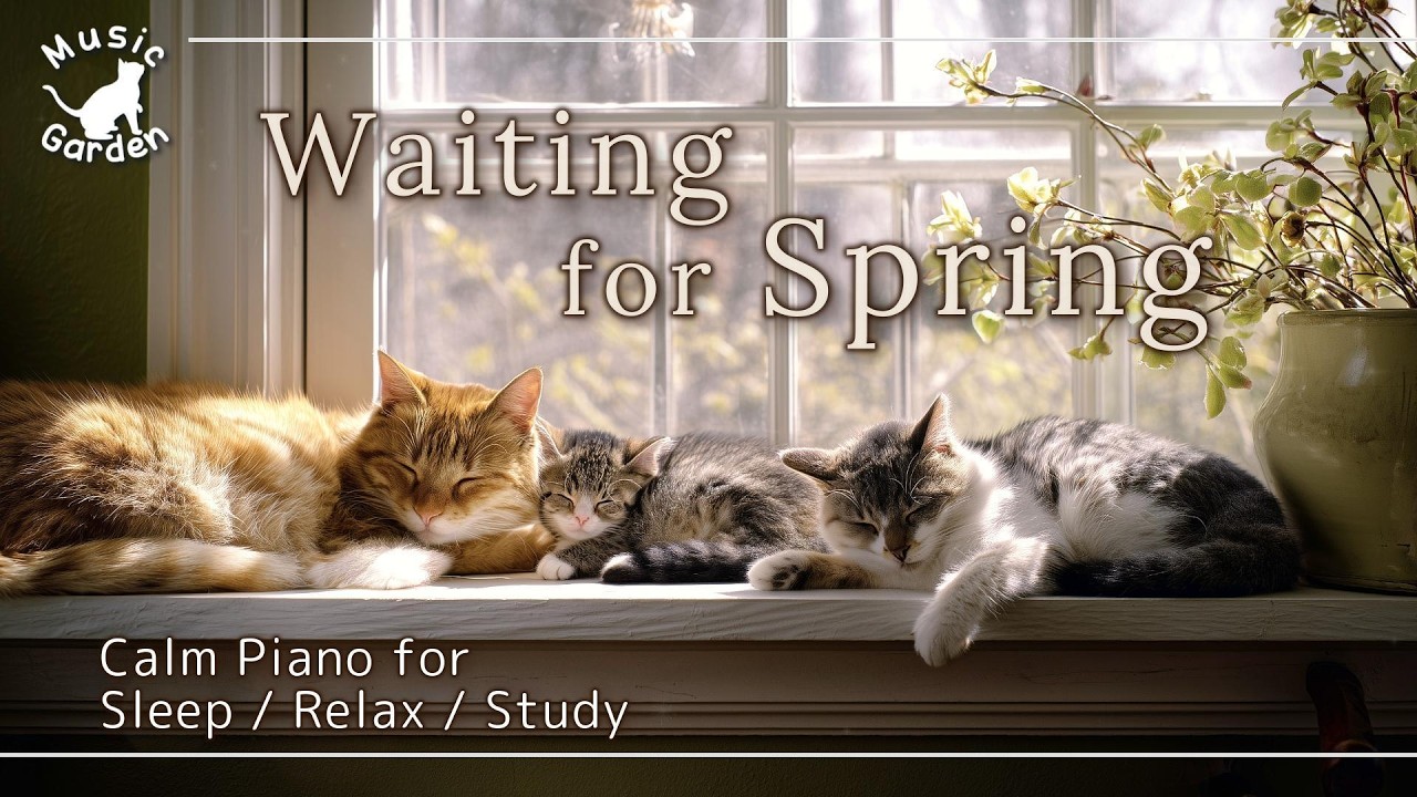 Relaxing Piano 🎹 Waiting for Spring | Soft Sunlight & Peaceful Cats | Sleep / Relax / Study 🌿🐱