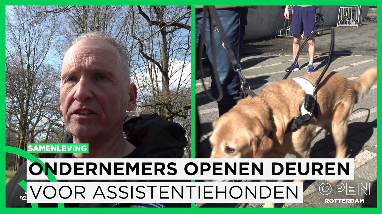 Op snuffeltocht in Rotterdam: ‘We hebben niet voor niets assistentiehonden’ | SAMENLEVING